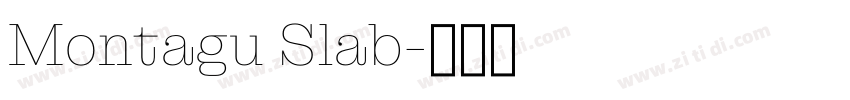 Montagu Slab字体转换